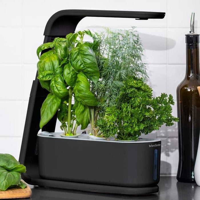 Aerogarden Sprout With Gourmet Herbs Seed Pod Kit