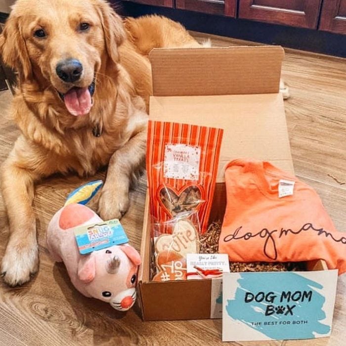 Dog Mom Box
