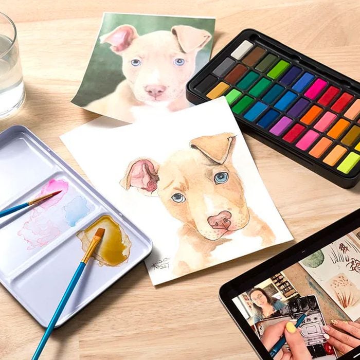 Paint Your Pet Virtual Class